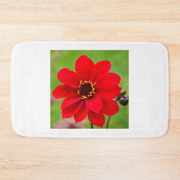 Item preview, Bishop of Llandaff dahlia bloom designed and sold by LindaCooke.