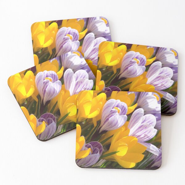 Item preview, Spring designed and sold by Steffen Gierok.