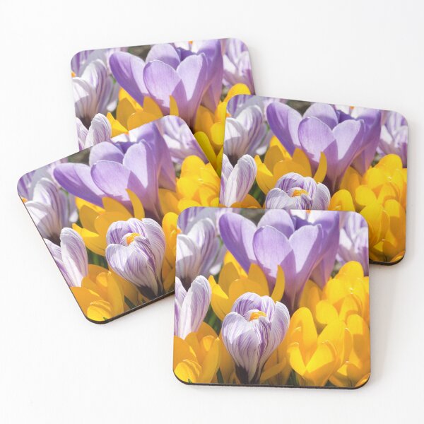 Item preview, Spring designed and sold by Steffen Gierok.