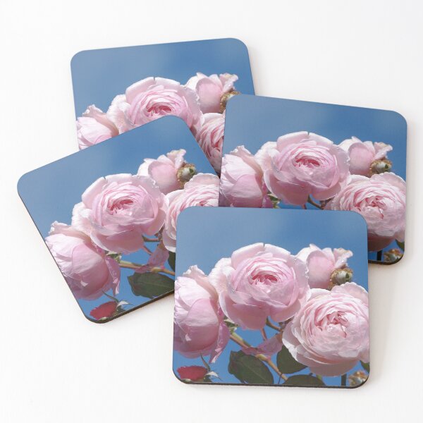 Item preview, Pink Shropshire Lad Rose against blue summer sky designed and sold by LindaCooke.
