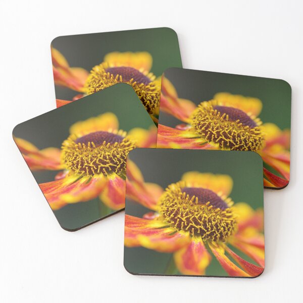 Item preview, Zingy Helenium Waltraut flower designed and sold by LindaCooke.