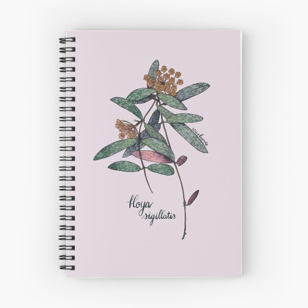 Item preview, Hoya sigillatis in bloom designed and sold by Wieskunde.