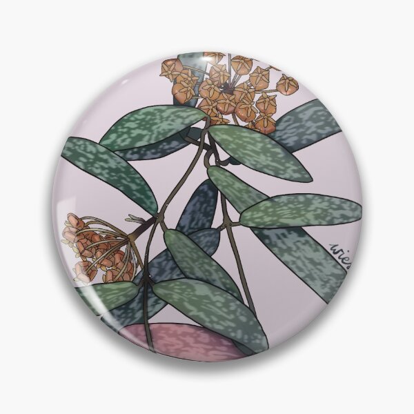 Item preview, Hoya sigillatis in bloom designed and sold by Wieskunde.