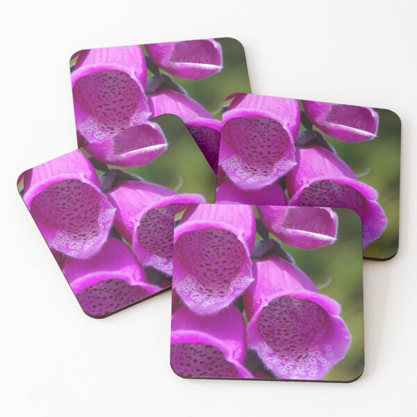 Item preview, Pink and spotty foxglove flowers designed and sold by LindaCooke.