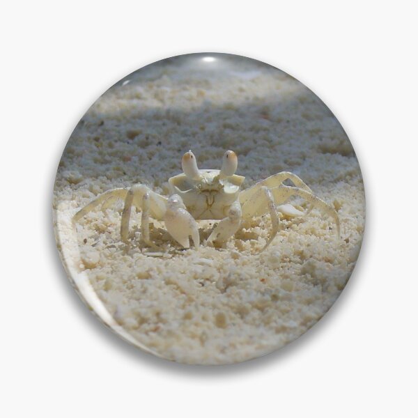 Item preview, Cute Sand Crab designed and sold by KaSaPo.