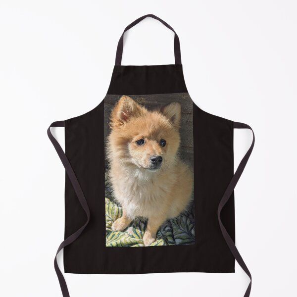 Item preview, Pomeranian puppy Kai designed and sold by Fluffycat2020.