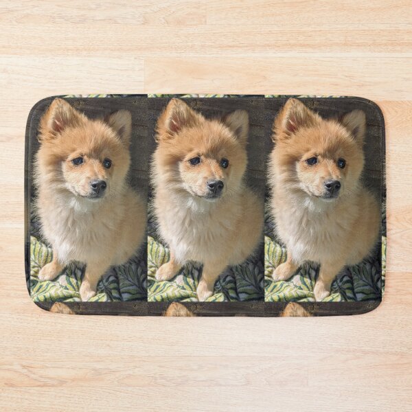 Item preview, Pomeranian puppy Kai designed and sold by Fluffycat2020.