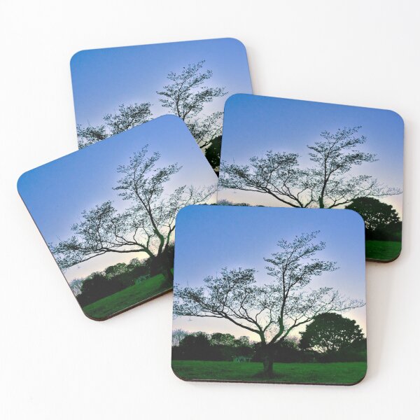 Item preview, Fotografía de árbol solitario designed and sold by BeerMetal.