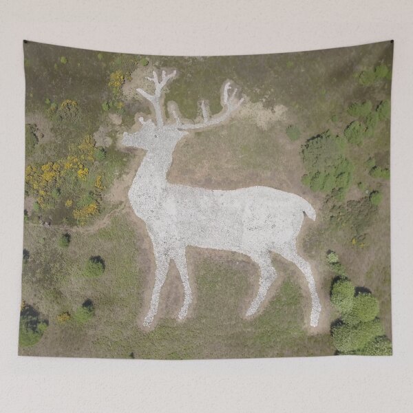 Item preview, White Stag on a hillside designed and sold by Nicky Cordiner.