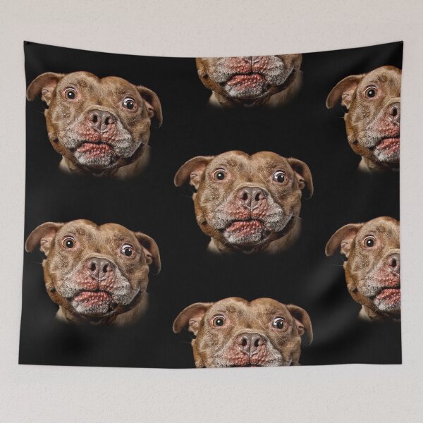 Item preview, Staffordshire Bull Terrier Staffy designed and sold by Carrie Southerton Dog Photography.