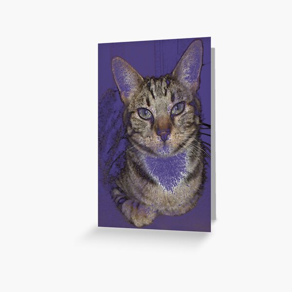 TIGER TIGER TIGER Greeting Card