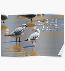 Seagull Dolphin or Fish? Poster