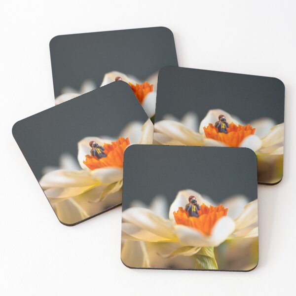 Item preview, Small World-Tiny Nature Photographer designed and sold by beanphoto.