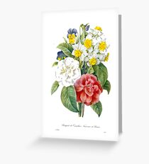 P.J. Redoute vintage colorful flowers botanical illustration. pink and white camellia, yellow and white daffodils, blue and yellow pansies. Greeting Card