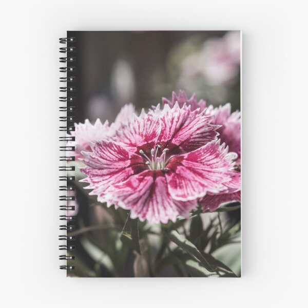 Item preview, Sweet William designed and sold by LevyAmanda.
