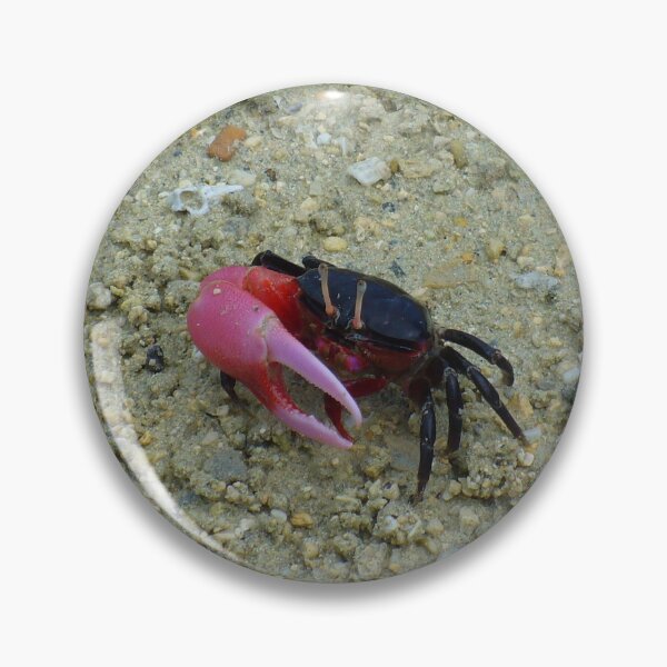 Item preview, Cute Fiddler Crab designed and sold by KaSaPo.