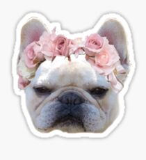 Frenchie Sticker