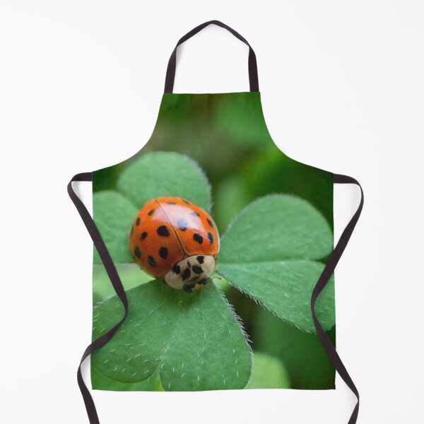 Aperçu de l'œuvre Coccinelles sur fleur - Sweet Ladybug créée et vendue par Coolstuff4you71.