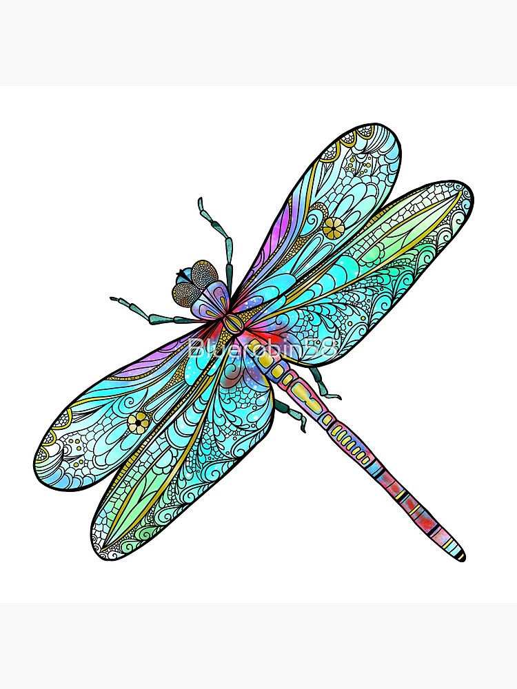 Dragonfly contour with ornate wings Dragonfly contour with ornate wings