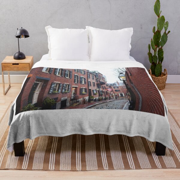 Item preview, Acorn Street, Boston designed and sold by newburyboutique.
