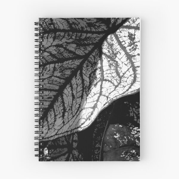 Item preview, Lines of Life    ^ designed and sold by ctheworld.