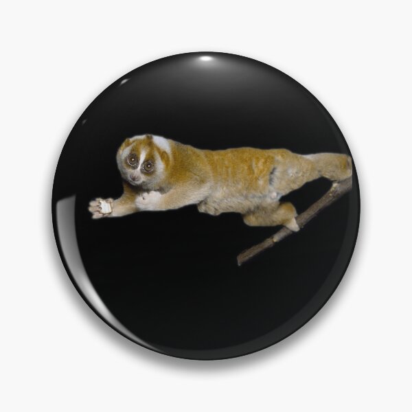 Item preview, Slow Loris designed and sold by myuniquepet.