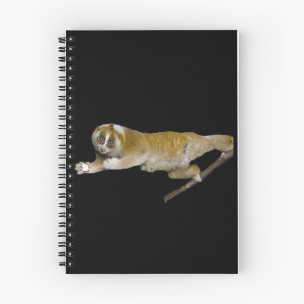 Item preview, Slow Loris designed and sold by myuniquepet.