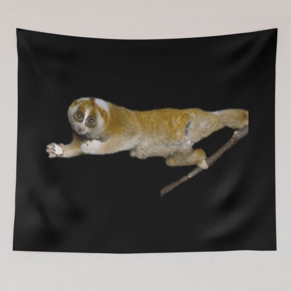 Item preview, Slow Loris designed and sold by myuniquepet.