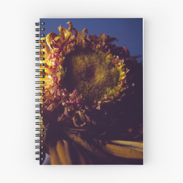 Item preview, Investigation of Dried Gerbera designed and sold by mewalsh.