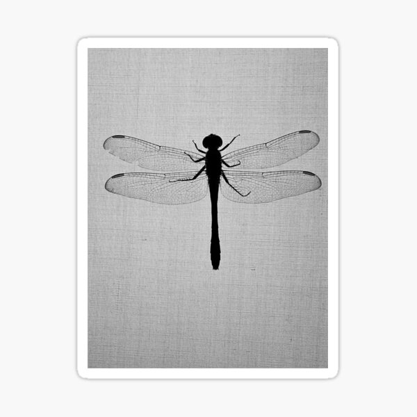 Item preview, The Dragonfly Effect designed and sold by Heralds Rest Book Store.
