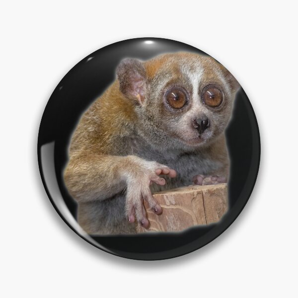 Item preview, Slow Loris designed and sold by myuniquepet.