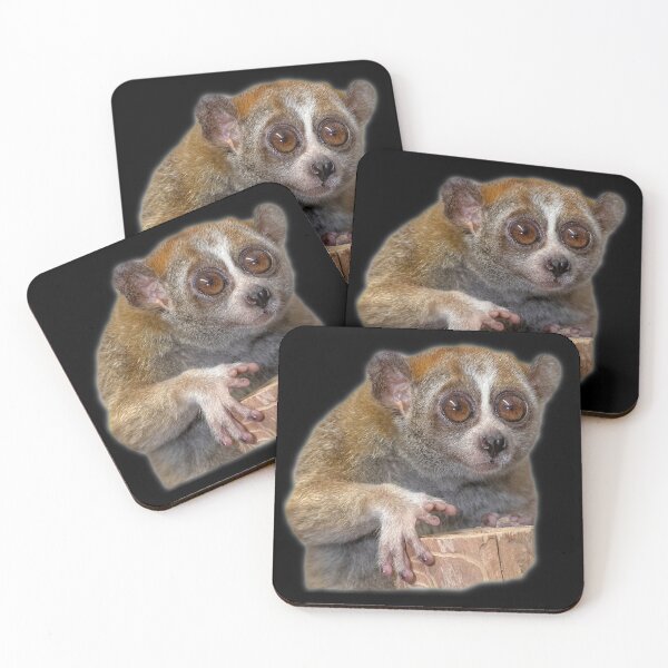 Item preview, Slow Loris designed and sold by myuniquepet.