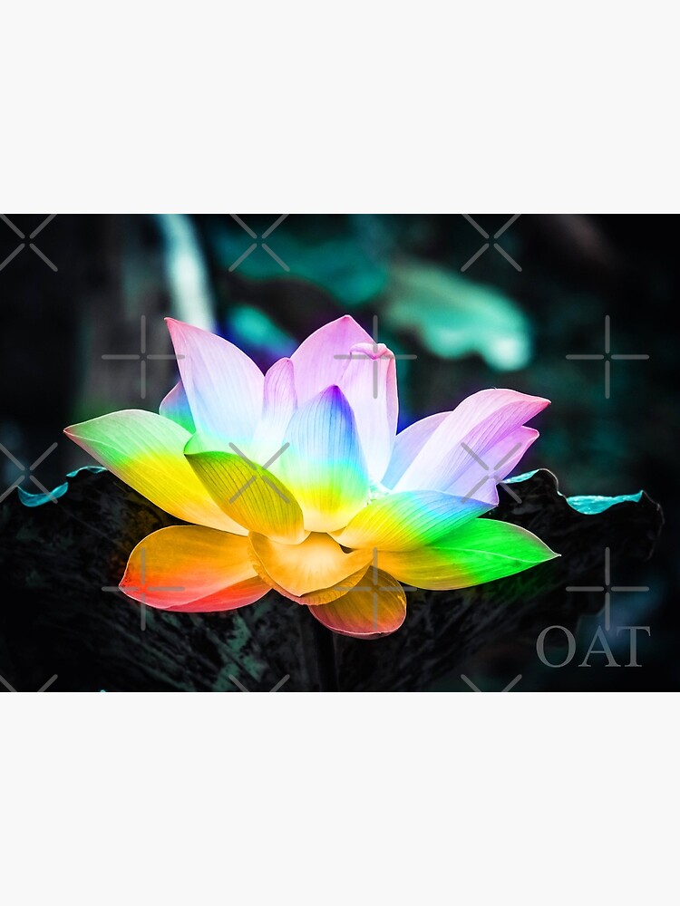 Thumbnail 4 of 4, Metal Print, Rainbow Lotus Flower designed and sold by Artcestral.
