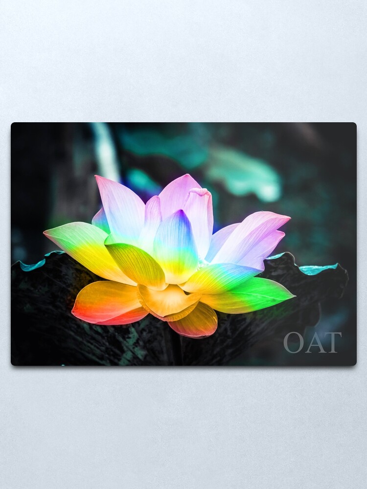 Alternate view of Rainbow Lotus Flower Metal Print