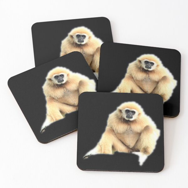 Item preview, Squirrel Monkey designed and sold by myuniquepet.