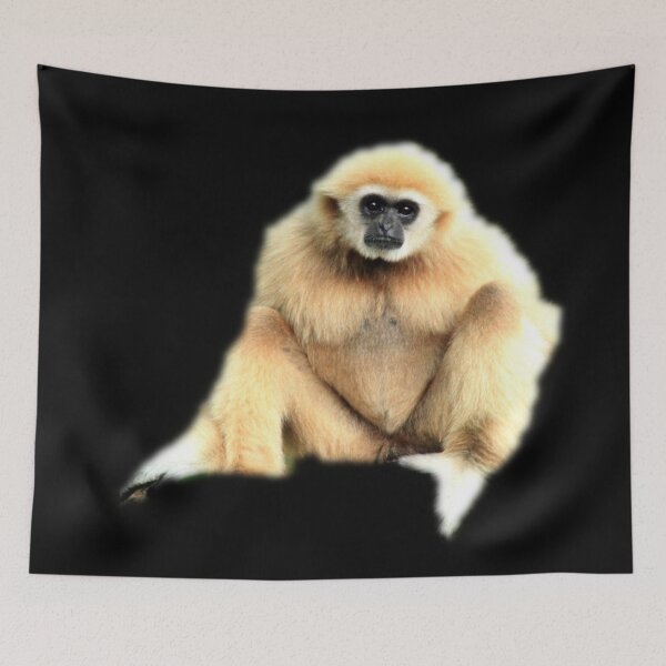 Item preview, Squirrel Monkey designed and sold by myuniquepet.
