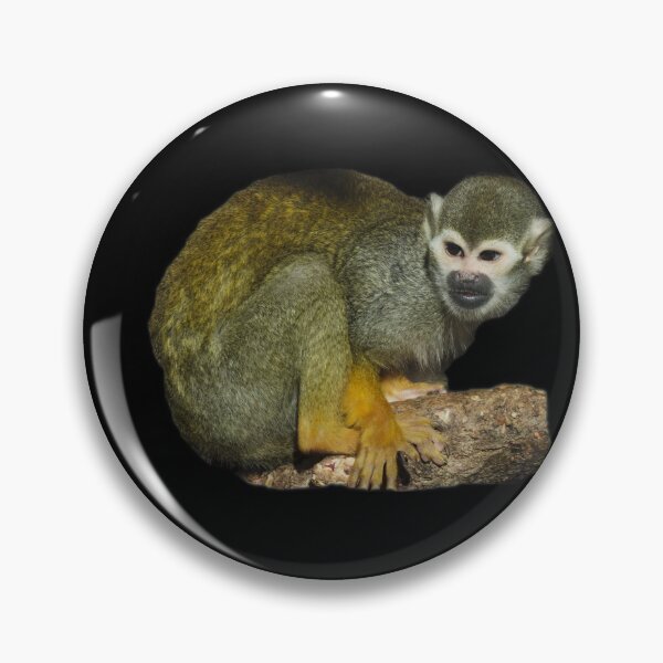 Item preview, Squirrel Monkey designed and sold by myuniquepet.