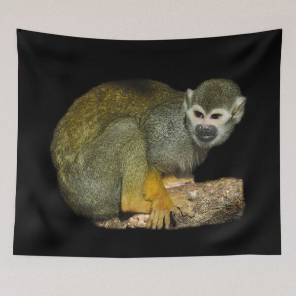 Item preview, Squirrel Monkey designed and sold by myuniquepet.