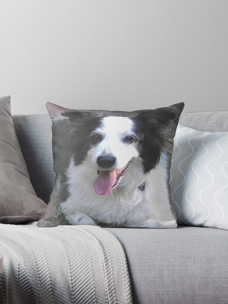 collie cushion