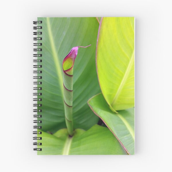 Item preview, Unfolding leaves designed and sold by feiermar.