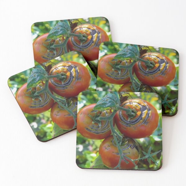 Item preview, A group of damaged ripe tomatoes designed and sold by Mahirov Shop.