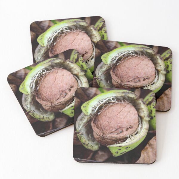 Item preview, Ripe walnut fruit designed and sold by Mahirov Shop.
