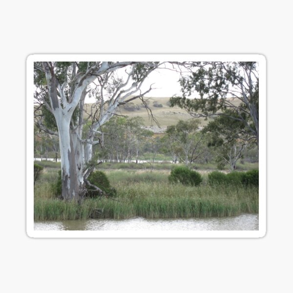 Item preview, Along the Murray River designed and sold by Honey Myrtle Studio.