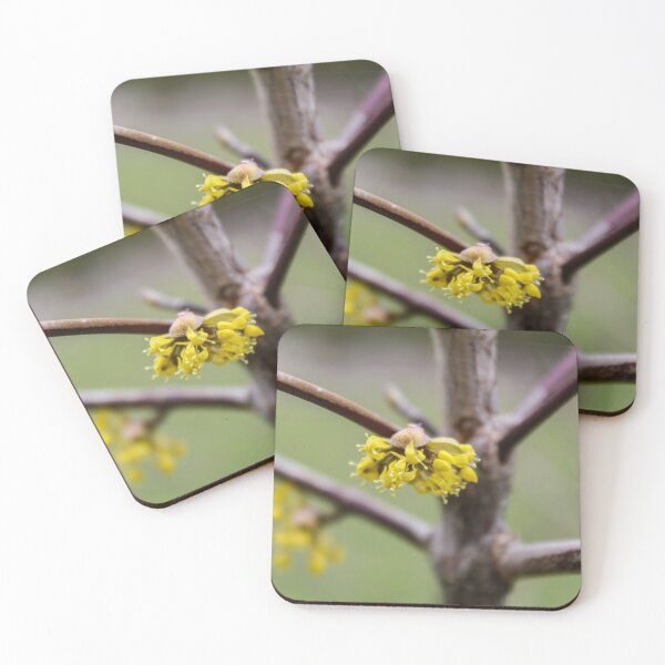 Item preview, Blooming flowers of Cornelian cherry designed and sold by Mahirov Shop.