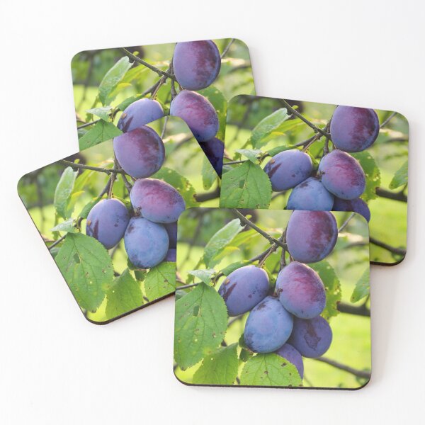 Item preview, A few ripe plums on a branch in an orchard designed and sold by Mahirov Shop.