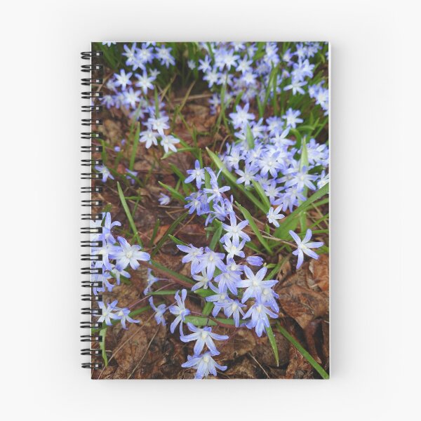 Item preview, Glory of the Snow - beautiful blue spring flowers designed and sold by LittleBettyMakes.