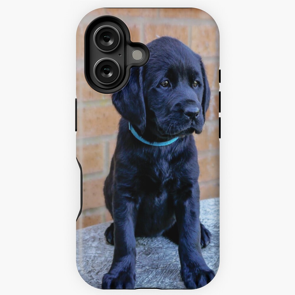Item preview, iPhone Magsafe Tough Case designed and sold by ScenicViewPics.