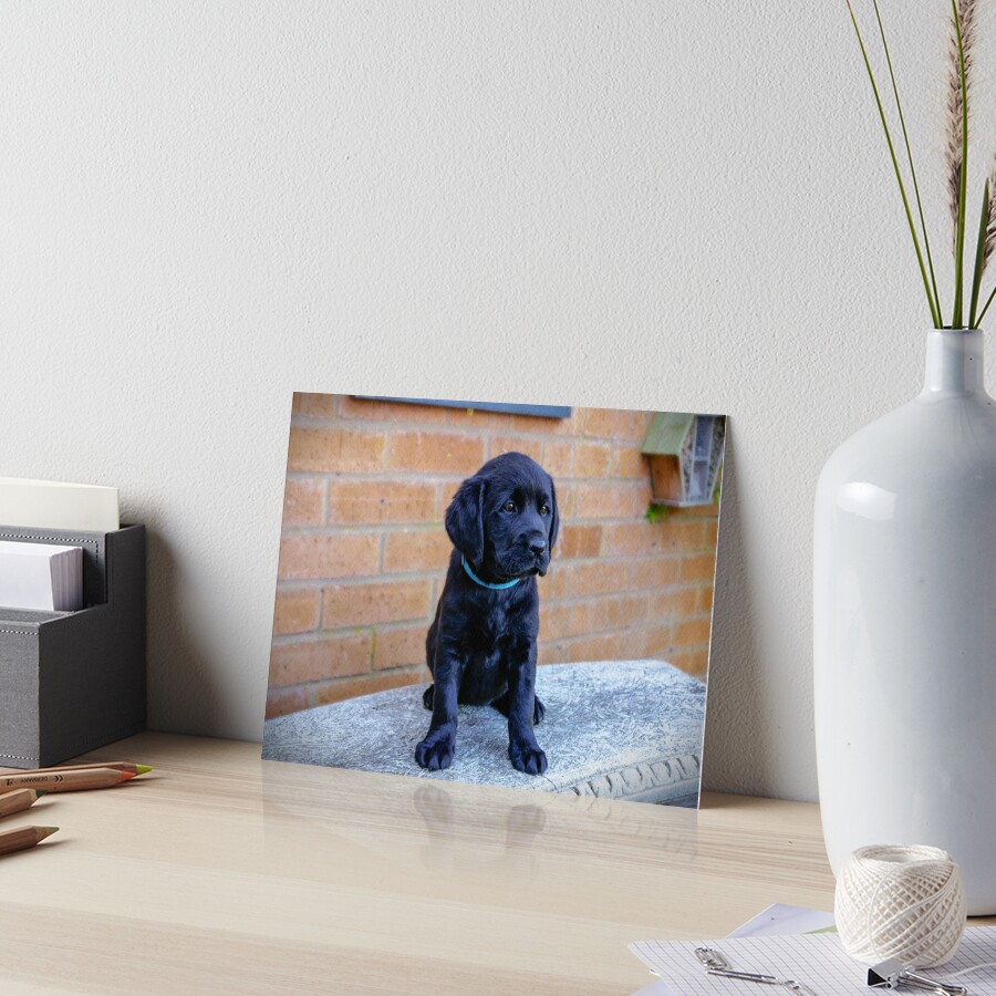 Item preview, Art Board Print designed and sold by ScenicViewPics.