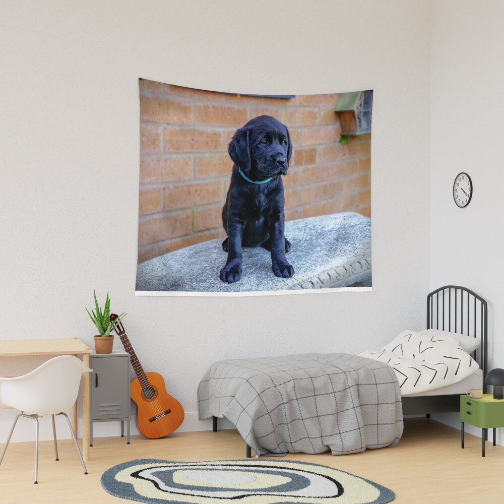 Item preview, Tapestry designed and sold by ScenicViewPics.