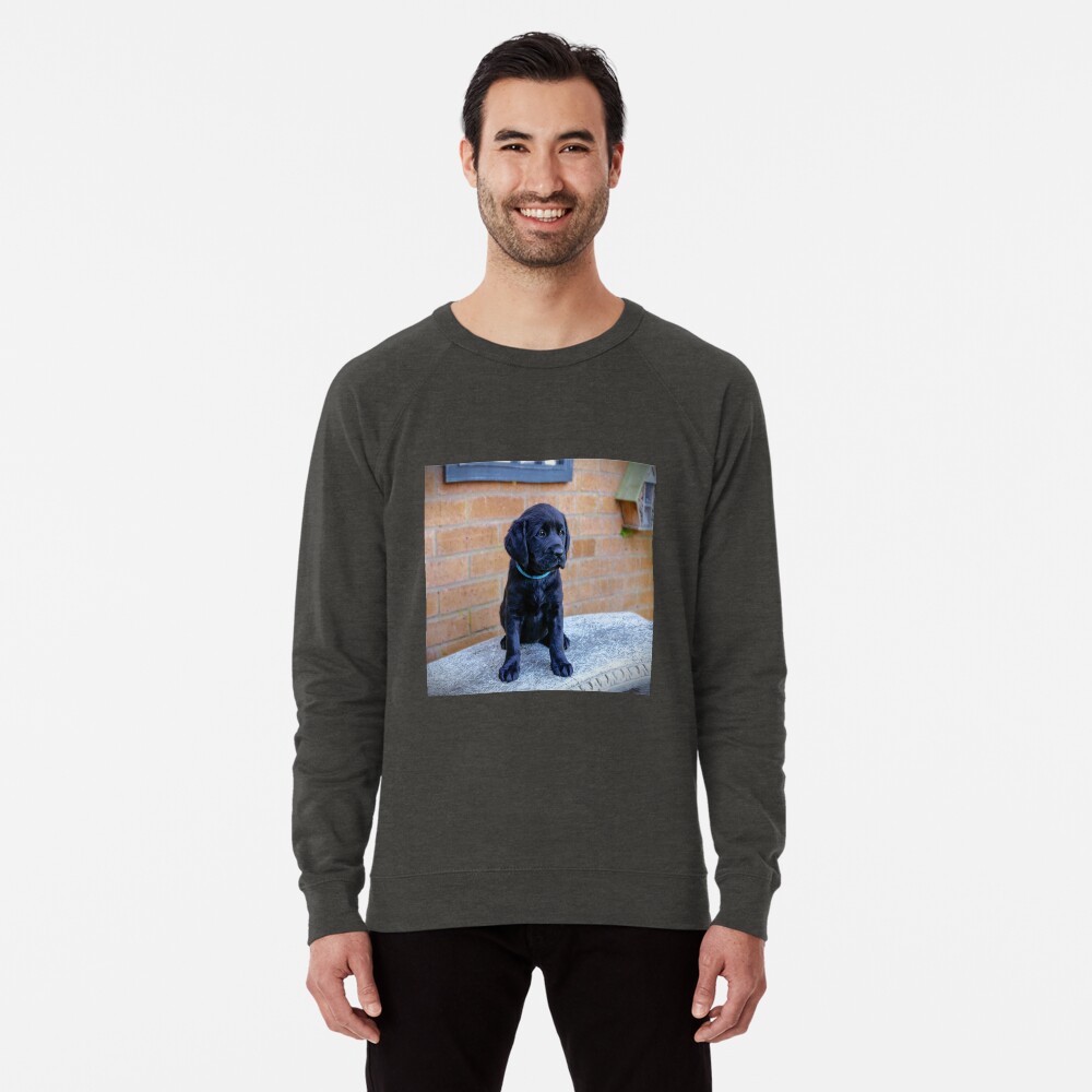 Item preview, Lightweight Sweatshirt designed and sold by ScenicViewPics.